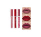 Three lipsticks in different shades with a close-up of lips wearing them on a white background.